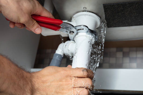 Best Fire Damage Restoration  in Lakefield, MN