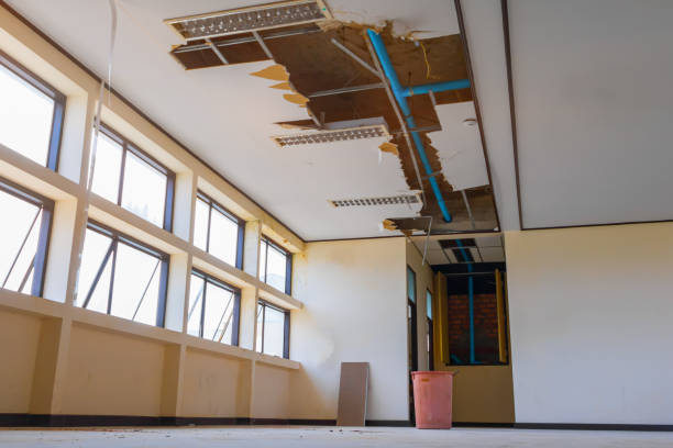 Best 24/7 water damage repair  in Lakefield, MN