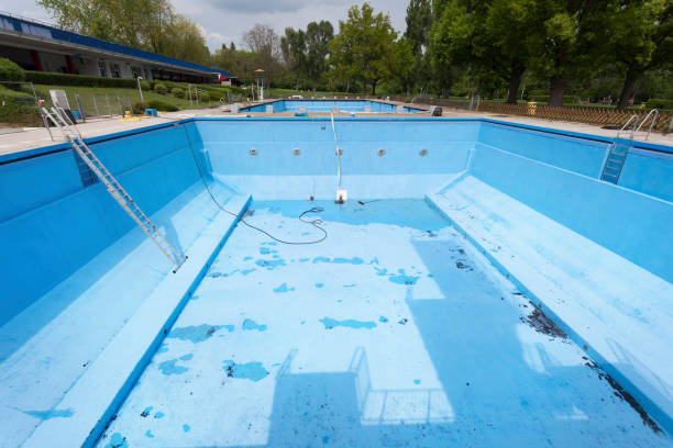 Best Professional water damage repair  in Lakefield, MN
