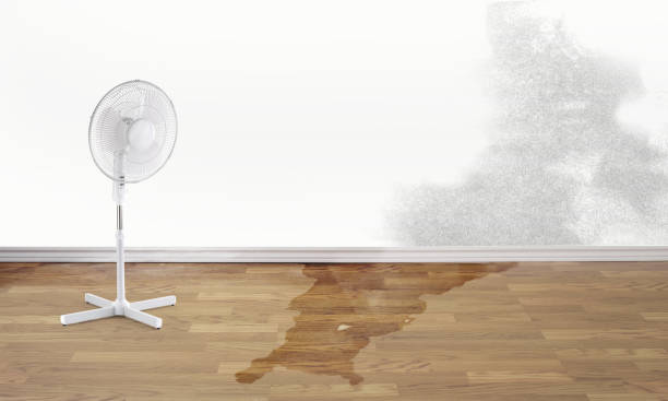 Best Commercial water damage restoration  in Lakefield, MN