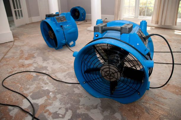 Trusted Lakefield, MN Water damage restoration Experts