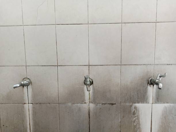 Best Ceiling water damage repair  in Lakefield, MN
