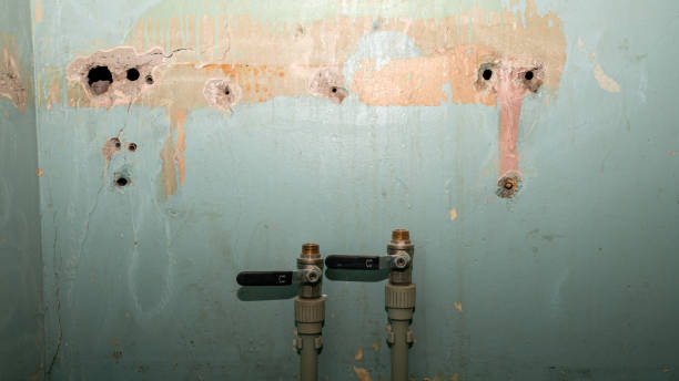 Best Water damage restoration cost  in Lakefield, MN