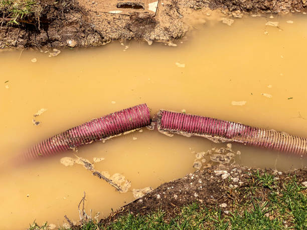 Best Water damage repair service  in Lakefield, MN