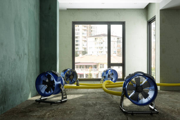 Best Carpet water damage restoration  in Lakefield, MN